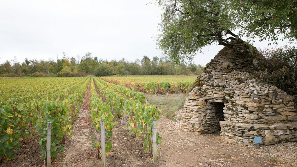 Champagne, Rosé des Riceys, Coteaux Champenois