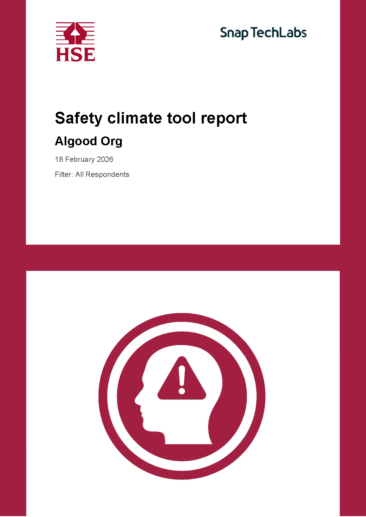Report PDF